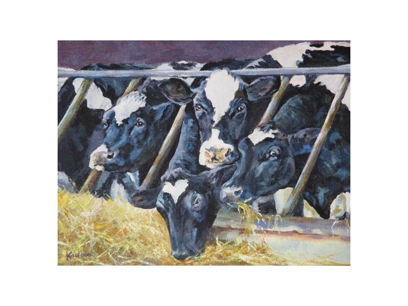 Paudies Cows